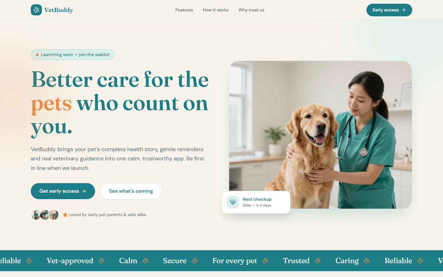 VetBuddy website preview